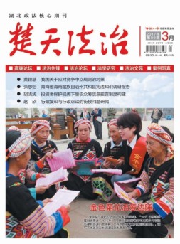 楚天法治 17年第3期