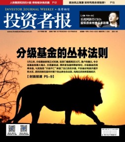 投资者报 17年第21期