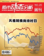 股市动态分析 17年第20期