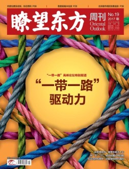 瞭望东方周刊 17年第19期