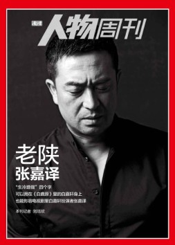 南方人物周刊 17年第16期