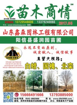 苗木商情 17年5月号
