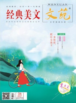 文苑·经典美文 17年第6期