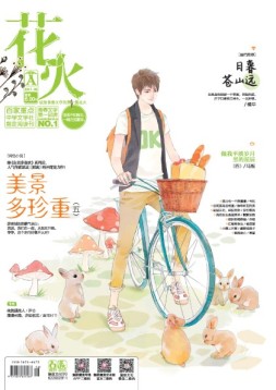 花火 17年6月A