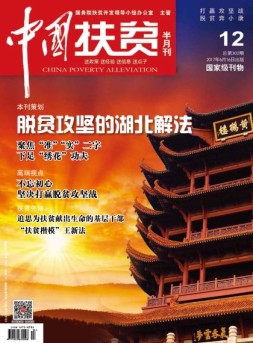 中国扶贫 17年第12期