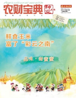 农财宝典种业版 17年第1期