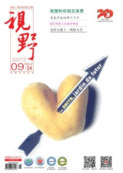 视野 17年第9期