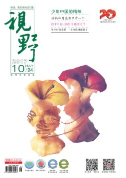 视野 17年第10期