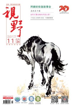 视野 17年第11期