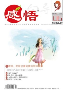 向导·感悟 17年第6期