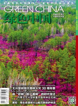 绿色中国 17年5月A
