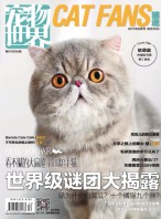 宠物世界·猫迷 17年6月号