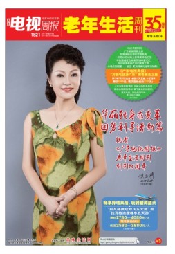 广东电视周报 17年第25期
