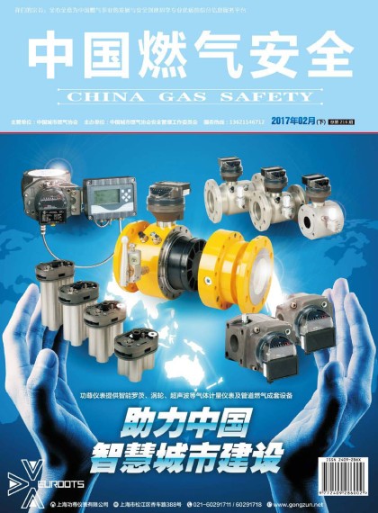 中国燃气安全 17年第2期下