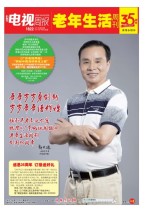 广东电视周报 17年第26期