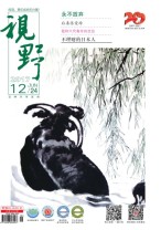 视野 17年第12期