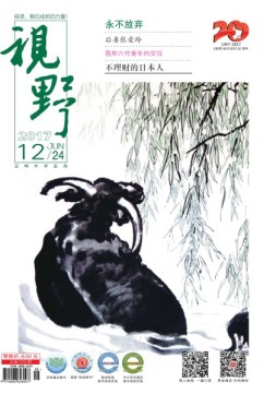 视野 17年第12期