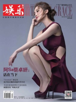 娱乐·品味周刊 17年第13期