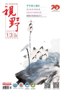 视野 17年第13期