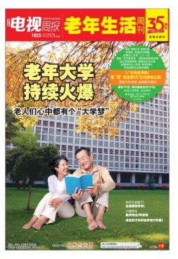 广东电视周报 17年第27期