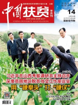 中国扶贫 17年第14期