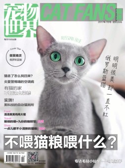 宠物世界·猫迷 17年7月号