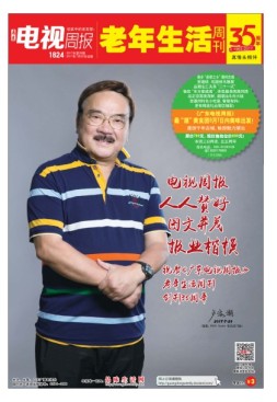 广东电视周报 17年第28期
