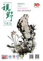 视野 17年第14期