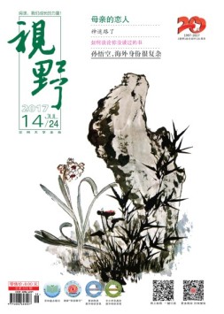 视野 17年第14期