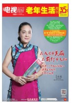广东电视周报 17年第29期