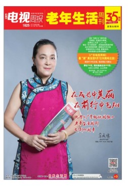 广东电视周报 17年第29期