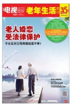 广东电视周报 17年第30期