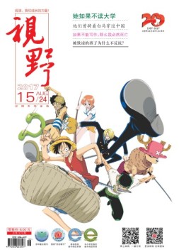 视野 17年第15期