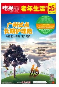 广东电视周报 17年第31期