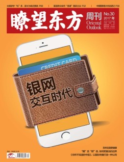 瞭望东方周刊 17年第30期