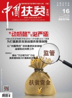 中国扶贫 17年第16期