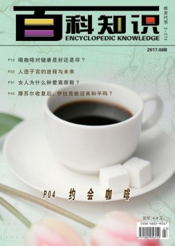 百科知识 17年8月下