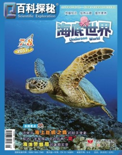 百科探秘·海底世界 17年7-8月号合刊