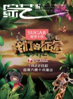 综艺报 17年第15期