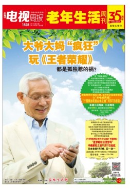 广东电视周报 17年第32期