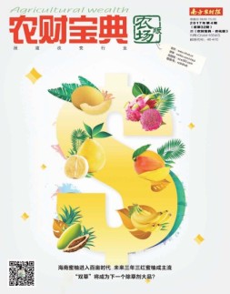 农财宝典农场版 17年第4期
