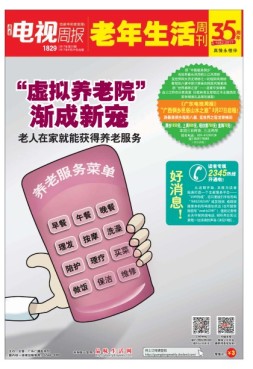 广东电视周报 17年第33期