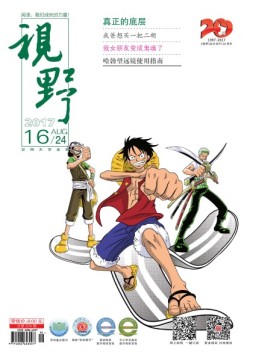 视野 17年第16期