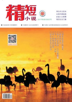精短小说 17年第8期