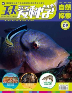 天天爱科学 17年9月号