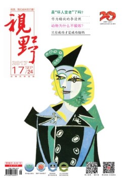 视野 17年第17期