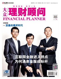 大众理财顾问 17年第9期