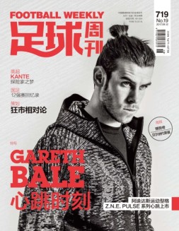 足球周刊 17年第19期