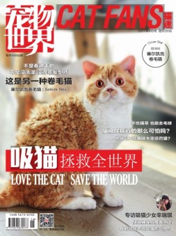 宠物世界·猫迷 17年9月号