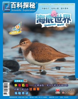 百科探秘·海底世界 17年9月号